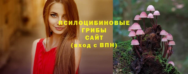 первитин Алексеевка