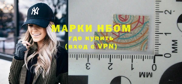 мет Алексин