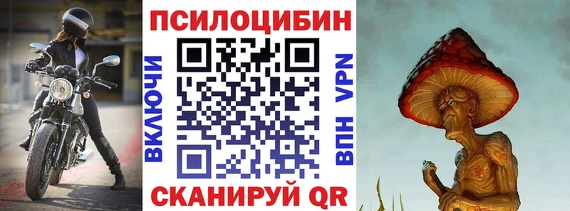 мега вход  Инсар  Галлюциногенные грибы прущие грибы 